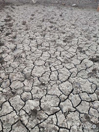 Сапропель удобрение земля перегной чернозём