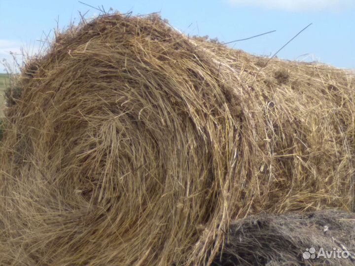 Корма для животных