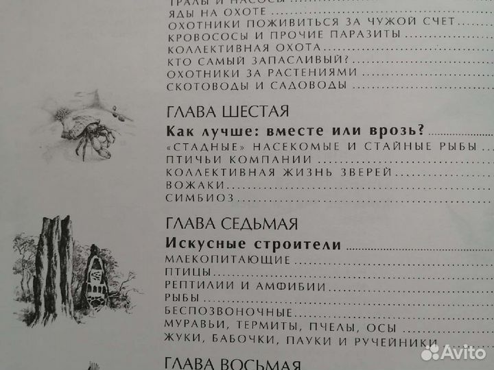 Энциклопедия 