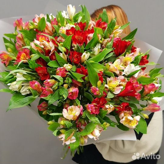Букет цветов Доставка/Самовывоз 27 Альстромерий