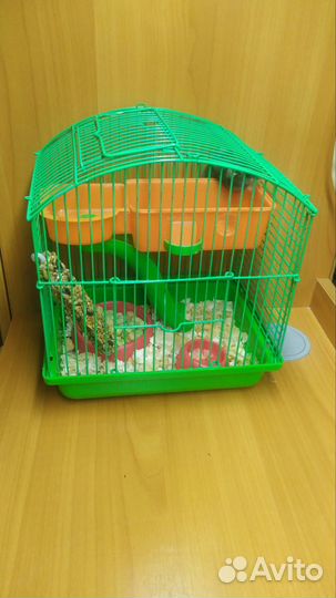 Хомячки с клетками