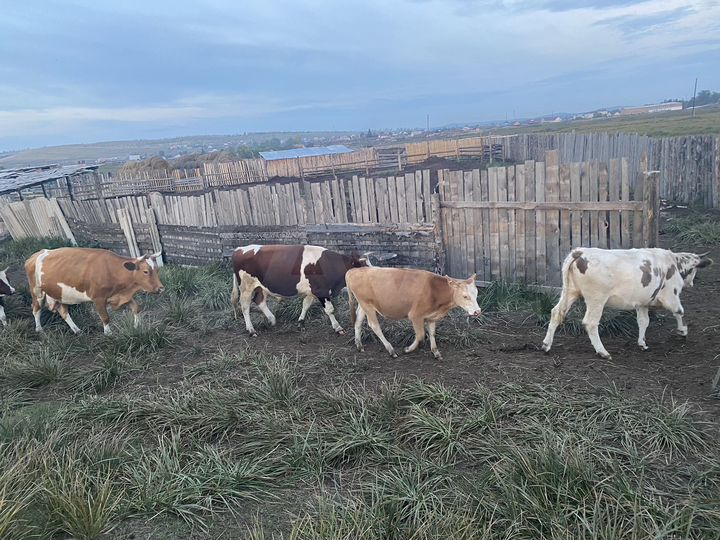 Участок 100 сот. (СНТ, ДНП)