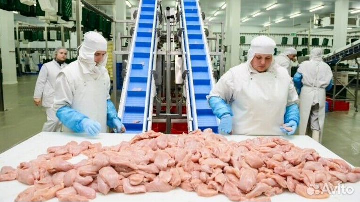 Разнорабочий на мясокомбинат(вахта)
