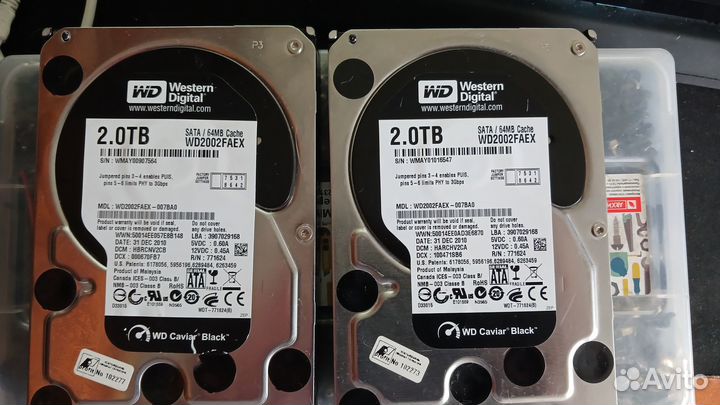 2 Tb WD Black 2 штуки