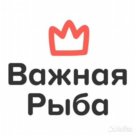 Менеджер доставки (м. Просвещения/Озерки)