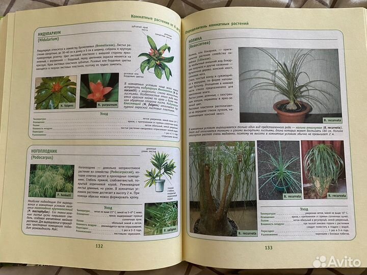 Книга о комнатных растениях