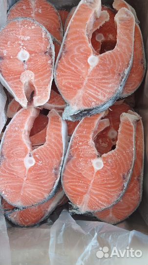 Рыба/Сёмга/Форель