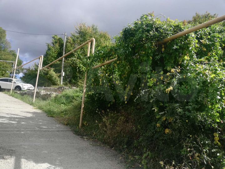 Участок 3,7 сот. (СНТ, ДНП)