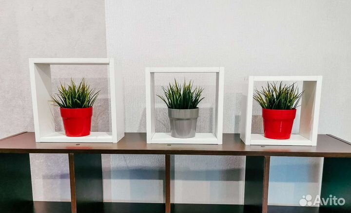 Набор настенных полок