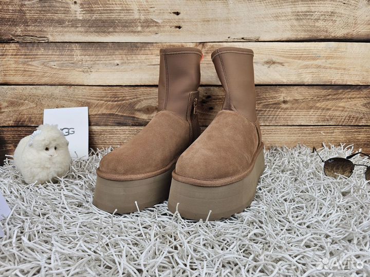 Угги Ugg Classic Dipper Chestnut женские оригинал