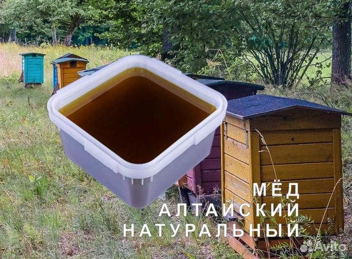 Мёд натуральный алтайский оптом