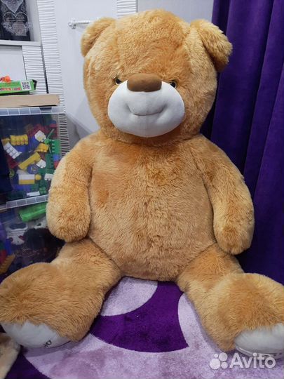 Плюшевый медведь