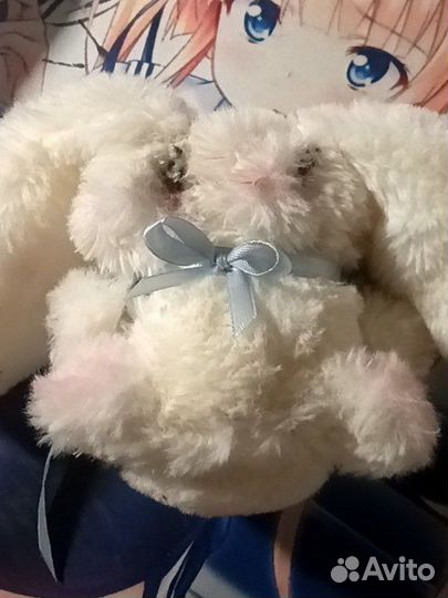 Кролик для Ромы