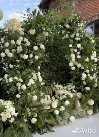 Фотозона. Свадебная арка. Выездная регистрация