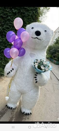 Поздравление ростовая кукла белый медведь 