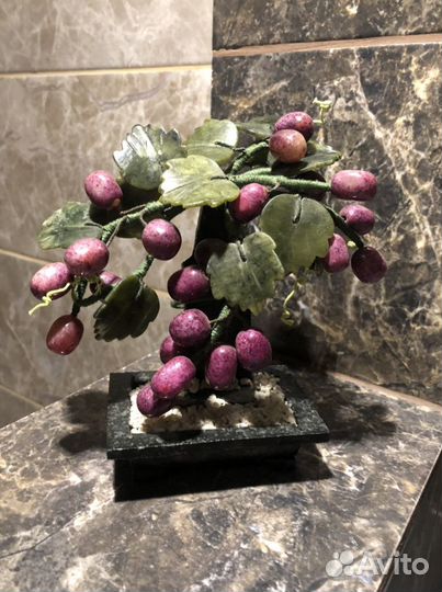 Декоративные деревья бонсай