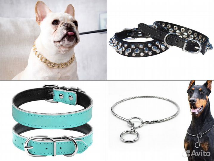 Ошейники и аксессуары для собак