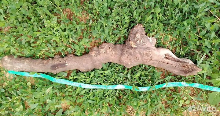 Коряги для декора