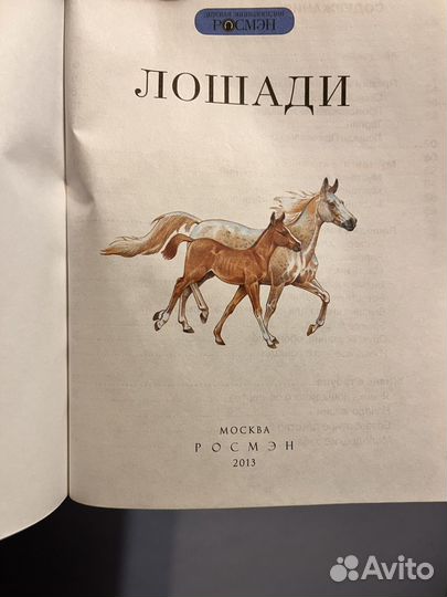 Книга Лошади Росмэн