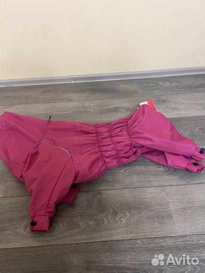 Дождевик для собаки девочки