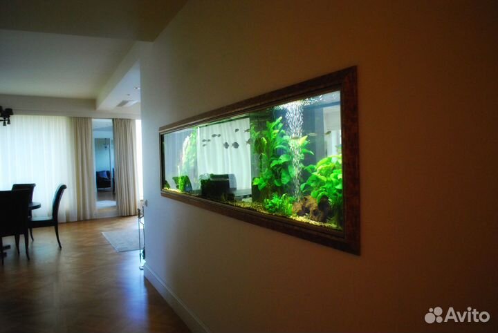 Обслужу и оформлю аквариумы