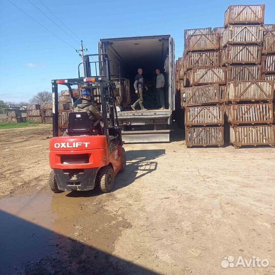 Грузоперевозки межгород газель