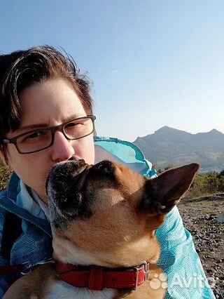 Зооняня \ Догситтер \ Выгульщик собак в Ясенево