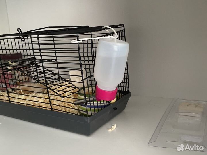 Клетка переноска для грызунов