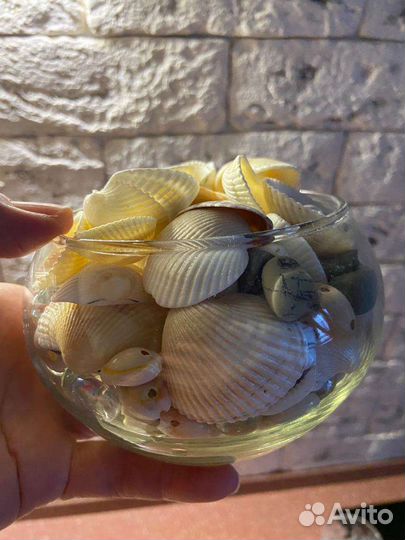 Ракушка для аквариума