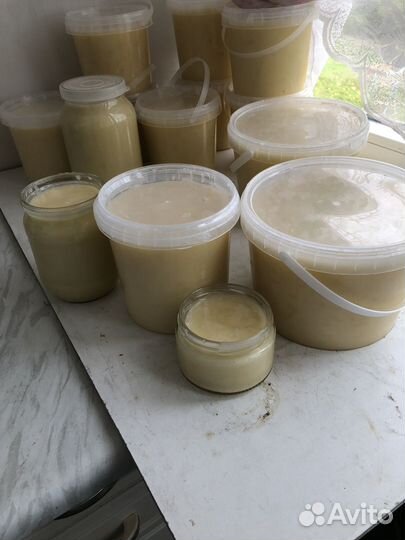 Алтайский мед (белый)