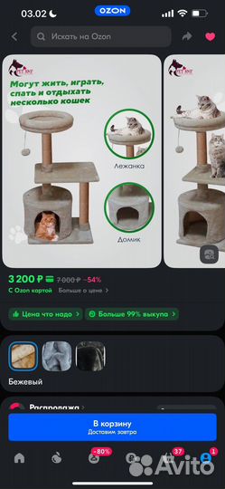 Когтеточка домик для кошки бу