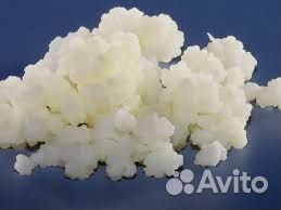 Продаю тибетский молочный гриб