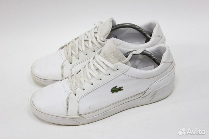 Мужские кеды lacoste