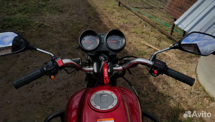 Альфа Сюрикен 110