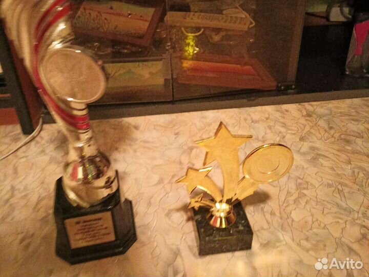 Кубки спортивные