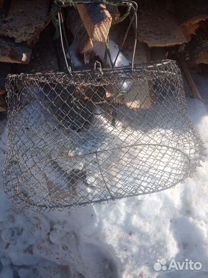 Садок рыболовный