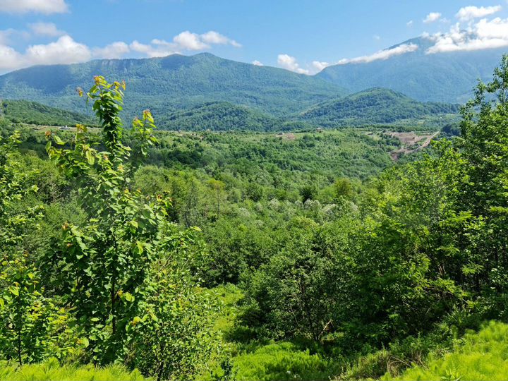 Участок 60 сот. (ИЖС)