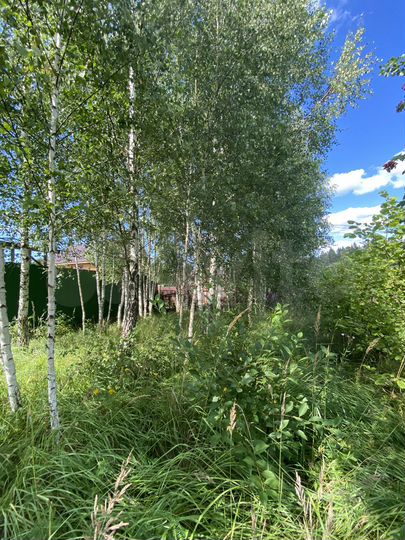 Участок 8,4 сот. (ИЖС)