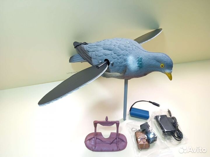 Махокрыл чучела голубей, уток