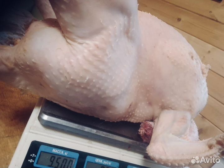 Мясо индейки