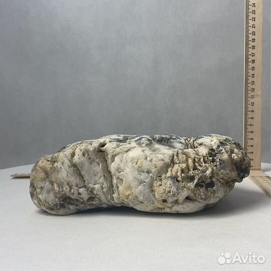 Декор для аквариума 240х95х50