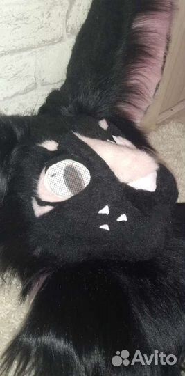 Фурсьют зайца