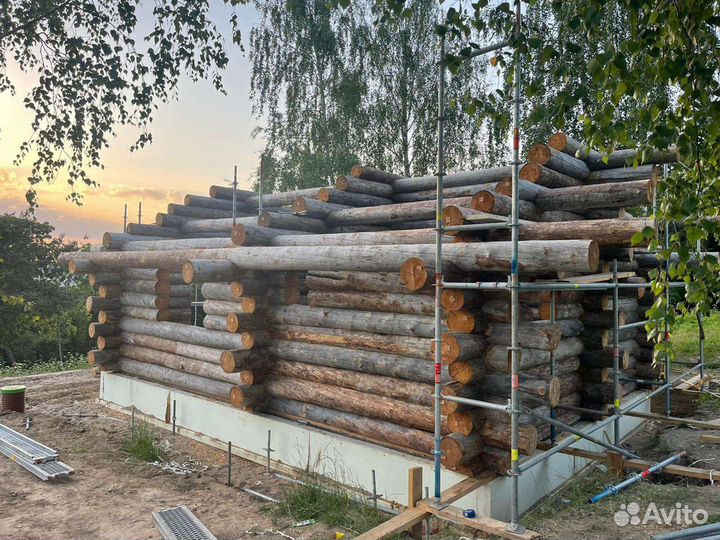 Дома и бани из полярной сосны Кело