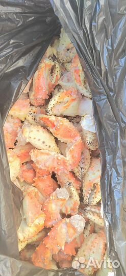 Краб камчатский