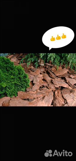 Мульча, сосновая кора,кора сосны,декор