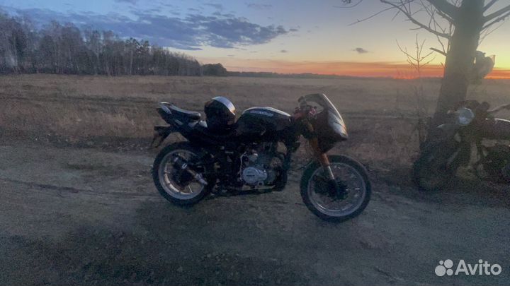 Cronus golden eagl 250