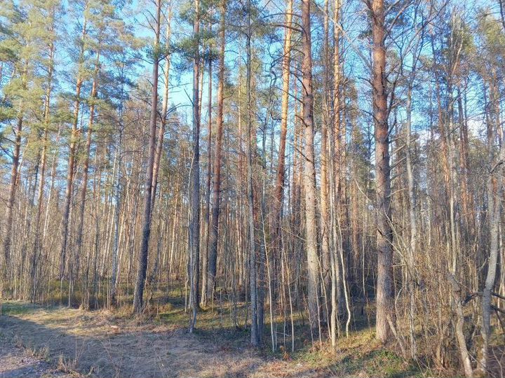 Участок 4,4 га (СНТ, ДНП)