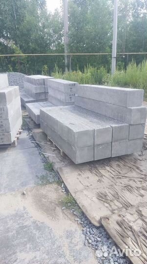 Перегородочная перемычка