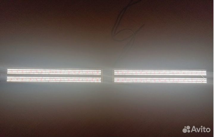 Фитолампа Mars Hydro SP3000