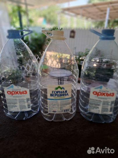 Пэт бутылки 5л бу